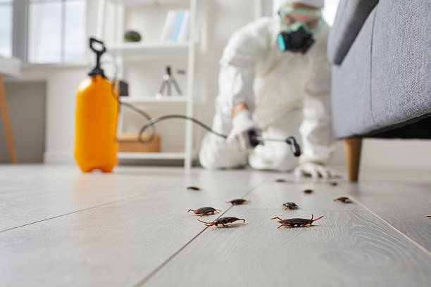Post-Treatment Bed Bug Interceptor Monitoring in Eutaw