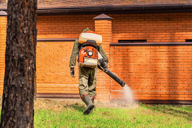Bed Bug Clearance Verification and Documentation in Eutaw